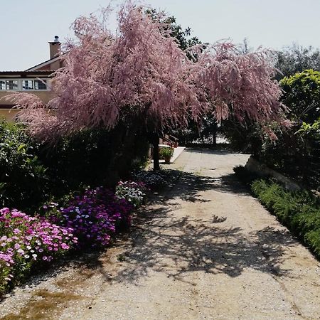 Casa Noemi Apartment สแปร์ลองกา ภายนอก รูปภาพ